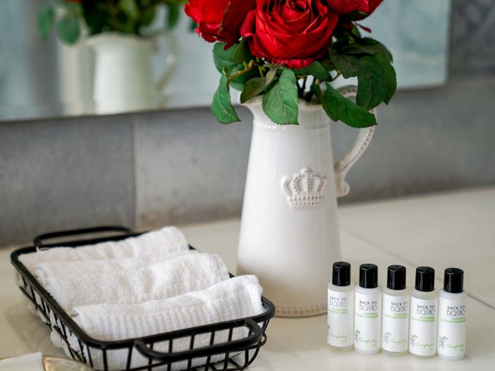 Personal care products at the Safe House Wellness Retreat India